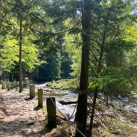 Daire Dolina Wikingow *