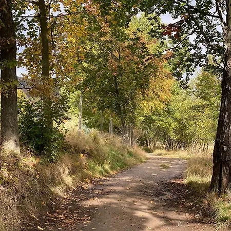 Daire Dolina Wikingow Szklarska Poreba