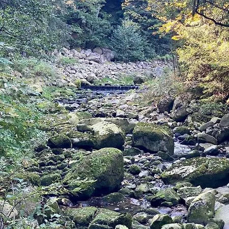 Διαμέρισμα Dolina Wikingow Szklarska Poręba