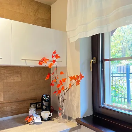 Viking Valley Suite: Garden Terrace, Garage & Wellness Access * Szklarska Poreba