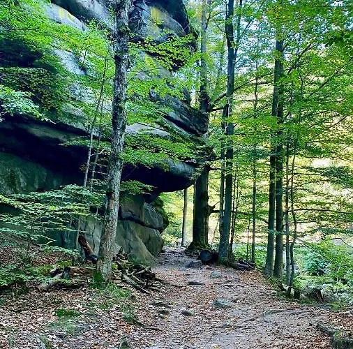 Dolina Wikingow Apartment