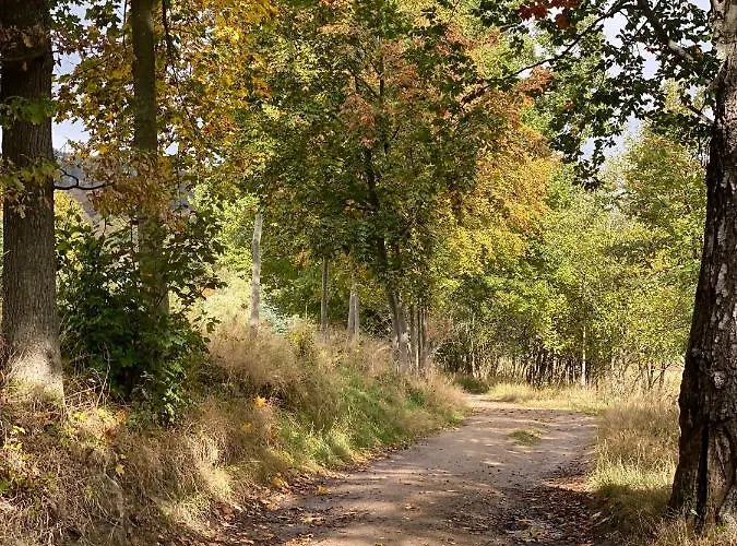 Apartment Dolina Wikingow Schreiberhau